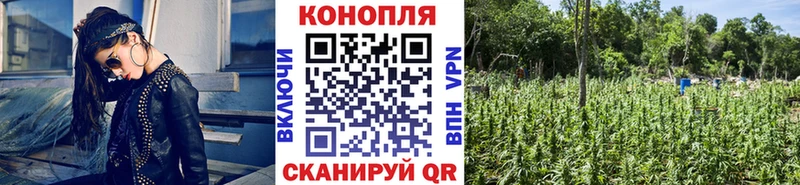 Шишки марихуана план  Серов 